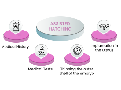 Assisted Hatching Process